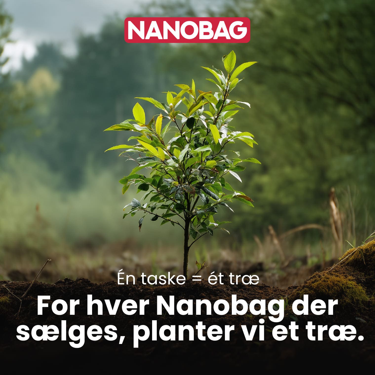 Nanobag - EU