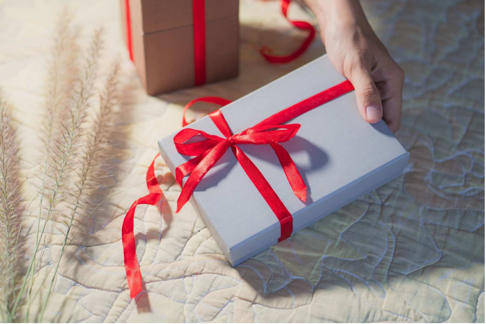 Why Nanobag is the Perfect, Practical Present